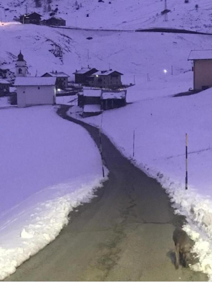 Appartamento Fausta Livigno Buitenkant foto